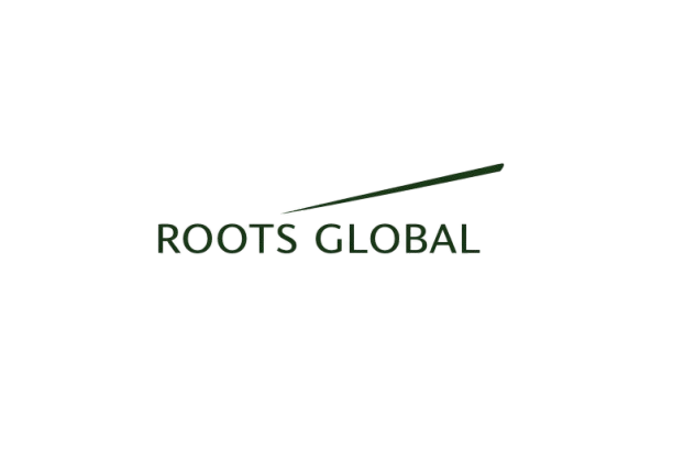 Roots Global Chartered Accountant 